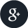 Google +